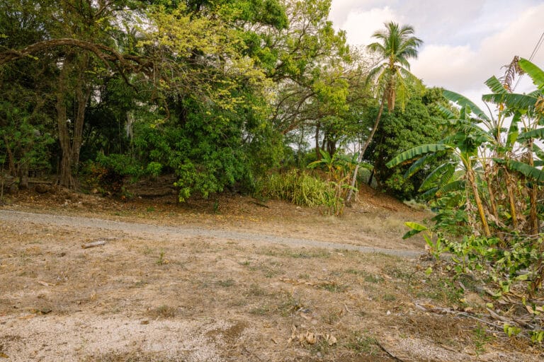 Robs Lot - Nosara Real Estate Agency High Res-5